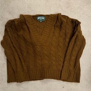 American Eagle Hooded Sweater